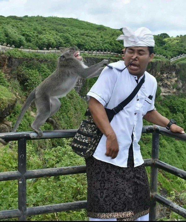 Right Moment (15 pics)