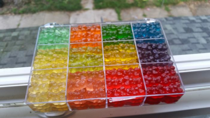 Photos For Perfectionists (17 pics)