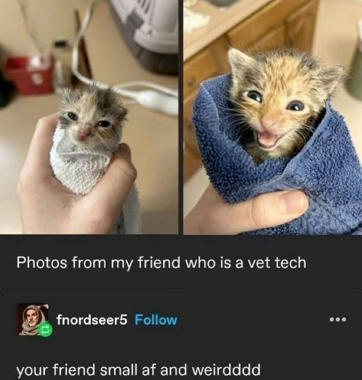 Daily Pictures. Part 2 (57 pics)