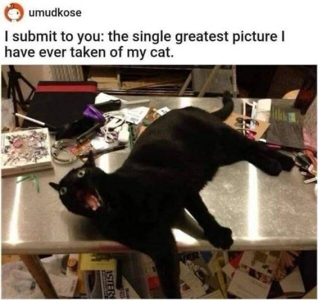 Daily Pictures. Part 2 (57 pics)