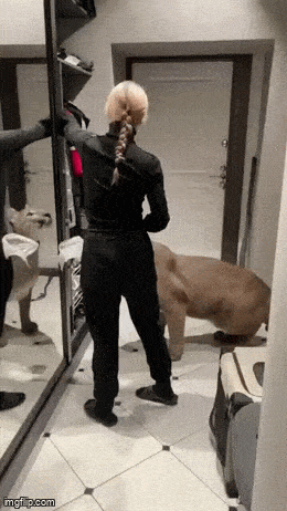 Acid GIFs, February 21 (25 gifs)