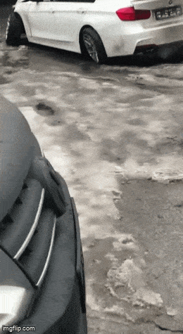 Acid GIFs, February 21 (25 gifs)