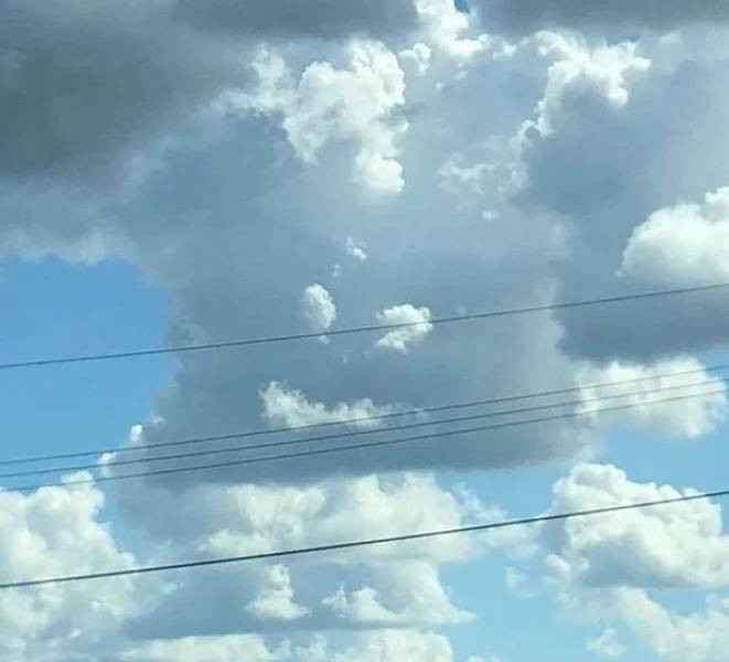 It's Just Pareidolia (20 pics)