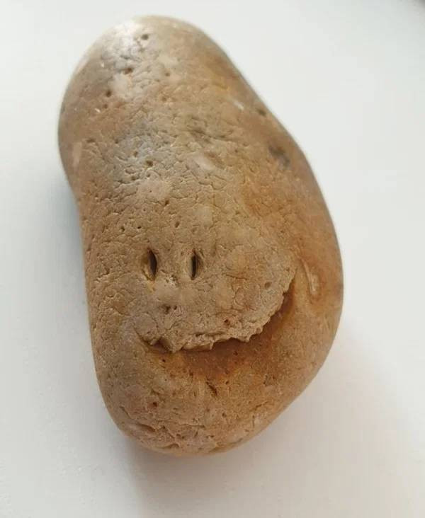 It's Just Pareidolia (20 pics)