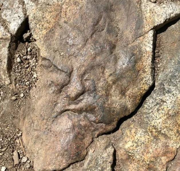 It's Just Pareidolia (20 pics)