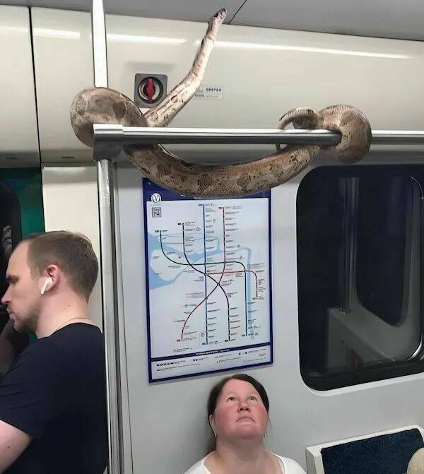 Daily Pictures. Part 1 (61 pics)