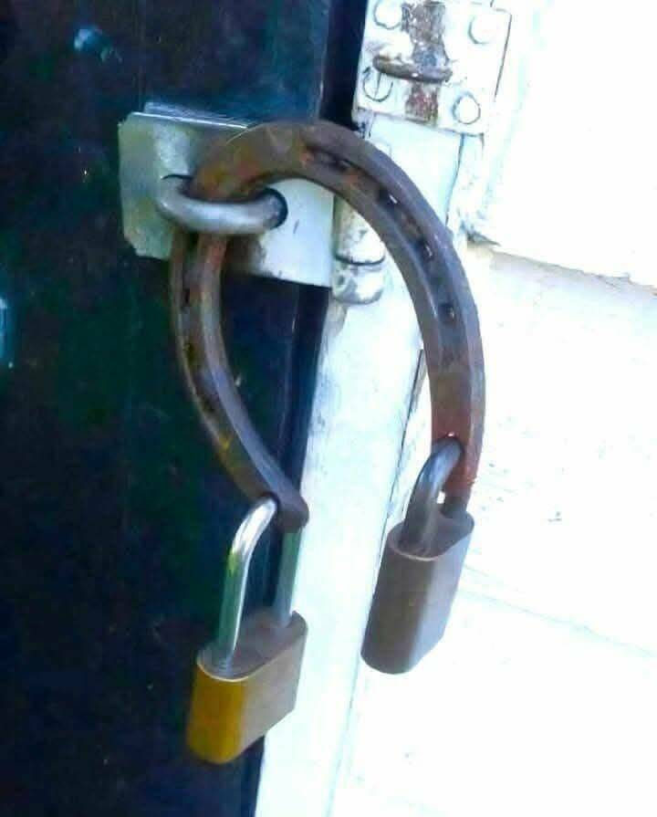 Daily Pictures. Part 1 (61 pics)