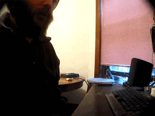 Acid GIFs, February 25 (25 gifs) Acid GIFs, February 25 (25 gifs)