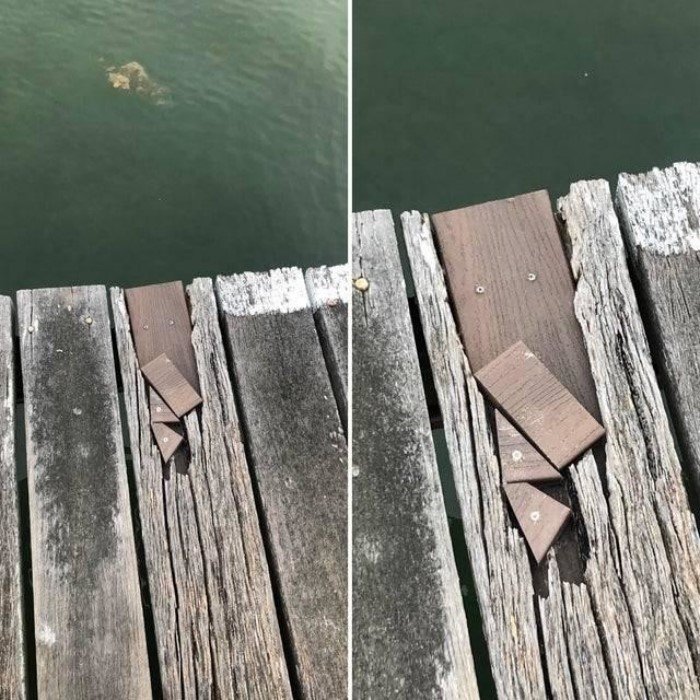 Failed Constructions (14 pics)