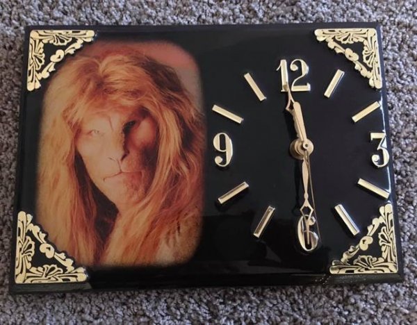 Really Weird Things From Thrift Shops (18 pics)