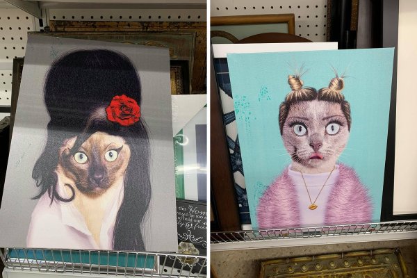 Really Weird Things From Thrift Shops (18 pics)