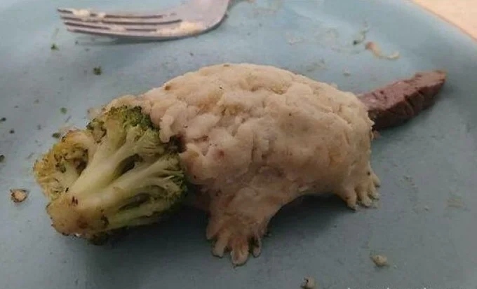 Odd Dishes (14 pics)