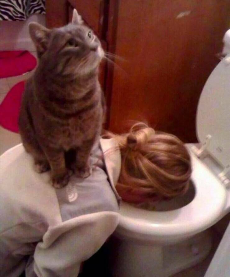 Daily Pictures. Part 1 (59 pics)