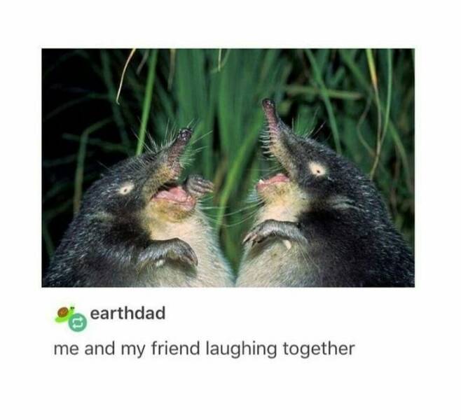 Daily Pictures. Part 2 (57 pics)