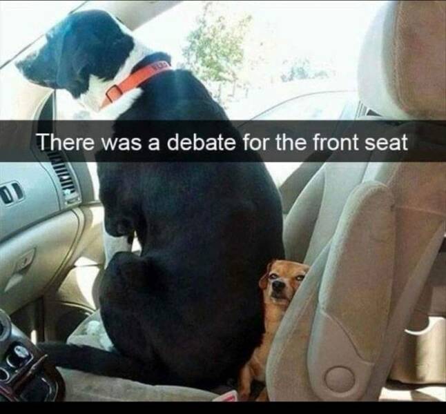 Daily Pictures. Part 2 (57 pics)