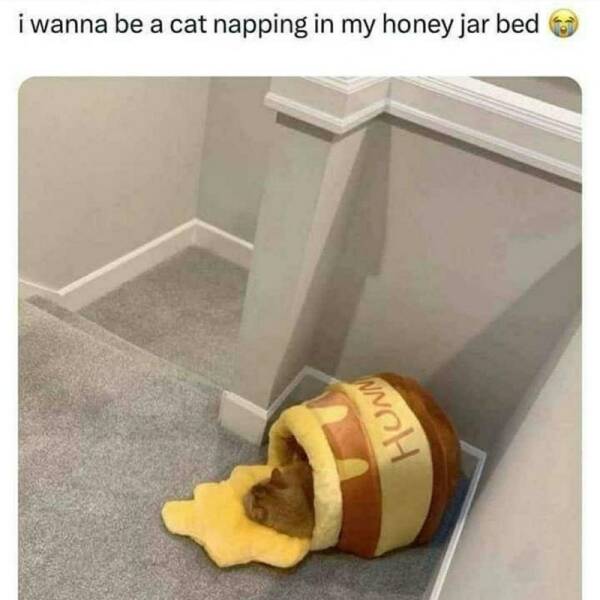 Daily Pictures. Part 2 (57 pics)