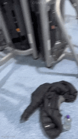 Acid GIFs, February 26 (25 gifs) Acid GIFs, February 26 (25 gifs)