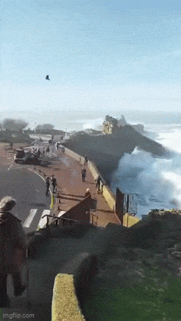 Acid GIFs, February 26 (25 gifs) Acid GIFs, February 26 (25 gifs)
