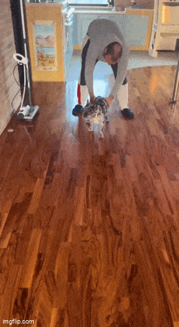 Acid GIFs, February 26 (25 gifs) Acid GIFs, February 26 (25 gifs)