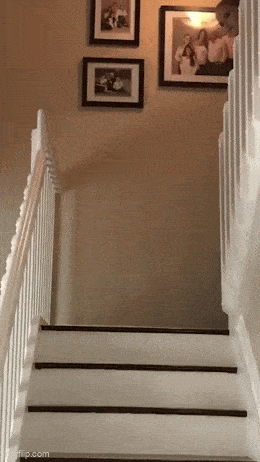 Acid GIFs, February 26 (25 gifs) Acid GIFs, February 26 (25 gifs)