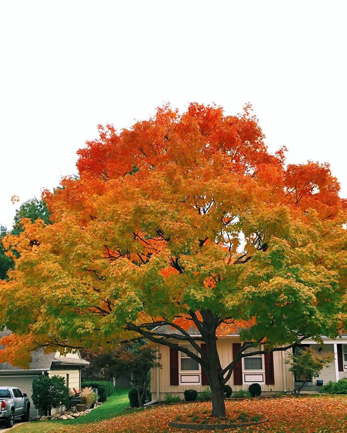 Photos For Perfectionists (20 pics)