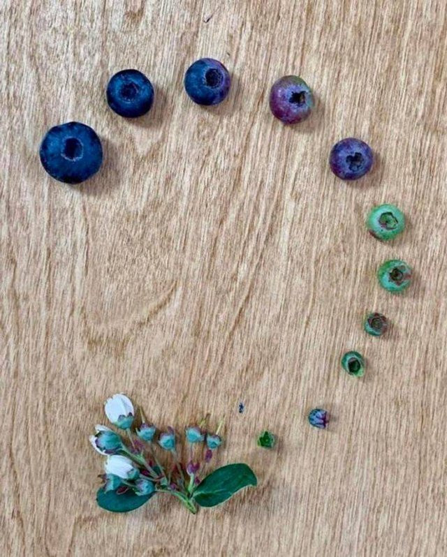 Photos For Perfectionists (20 pics)