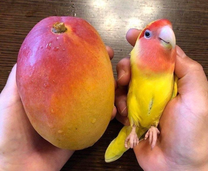 Photos For Perfectionists (20 pics)