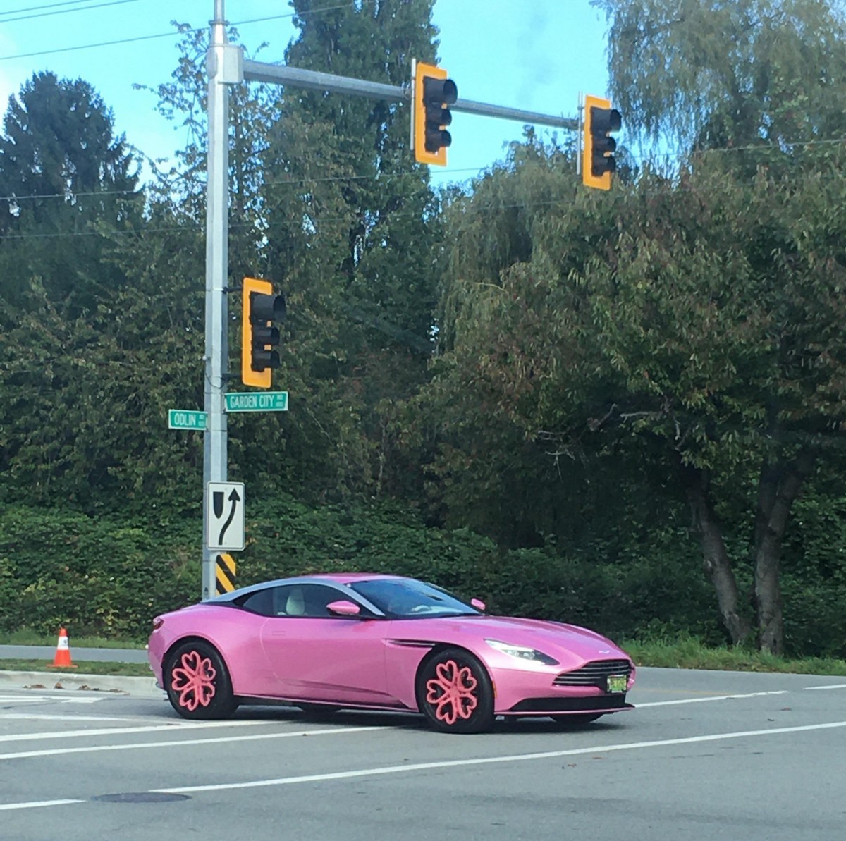 Crazy Cars (18 pics)