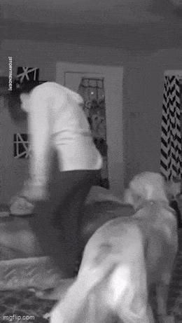 Acid GIFs, February 27 (25 gifs) Acid GIFs, February 27 (25 gifs)