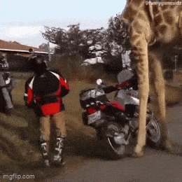Acid GIFs, February 27 (25 gifs) Acid GIFs, February 27 (25 gifs)