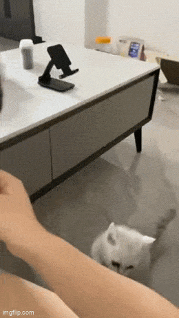 Acid GIFs, February 27 (25 gifs) Acid GIFs, February 27 (25 gifs)