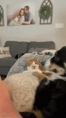 Acid GIFs, February 27 (25 gifs) Acid GIFs, February 27 (25 gifs)
