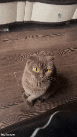 Acid GIFs, February 27 (25 gifs) Acid GIFs, February 27 (25 gifs)