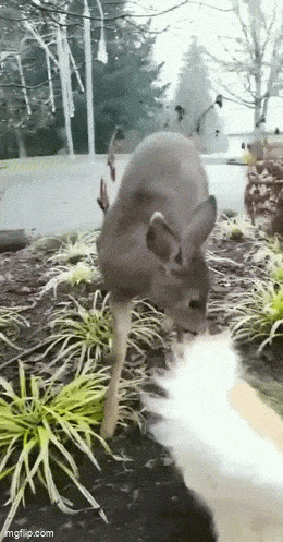 Acid GIFs, February 27 (25 gifs) Acid GIFs, February 27 (25 gifs)