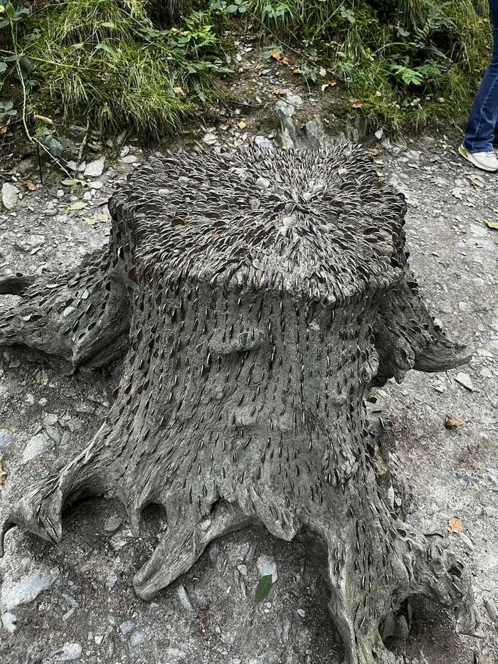 Scary Photos (17 pics)