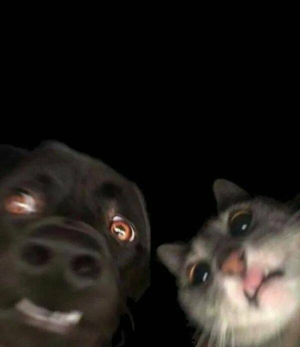 Daily Pictures. Part 1 (56 pics)