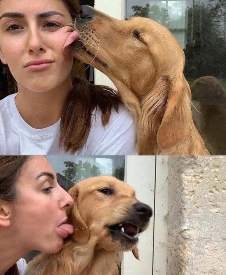 Daily Pictures. Part 1 (56 pics)