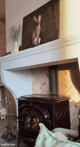 Acid GIFs, February 28 (25 gifs) Acid GIFs, February 28 (25 gifs)