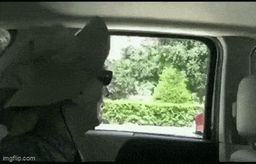 Acid GIFs, February 28 (25 gifs) Acid GIFs, February 28 (25 gifs)