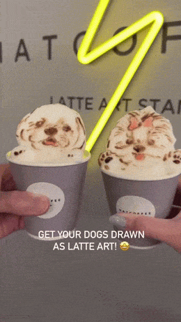 Acid GIFs, February 28 (25 gifs) Acid GIFs, February 28 (25 gifs)