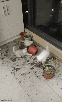 Acid GIFs, February 28 (25 gifs) Acid GIFs, February 28 (25 gifs)