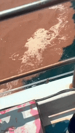 Acid GIFs, February 28 (25 gifs) Acid GIFs, February 28 (25 gifs)
