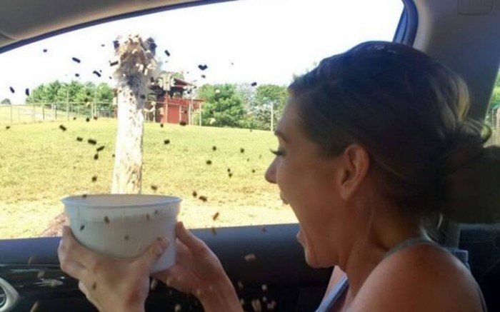 Right Moment (18 pics)