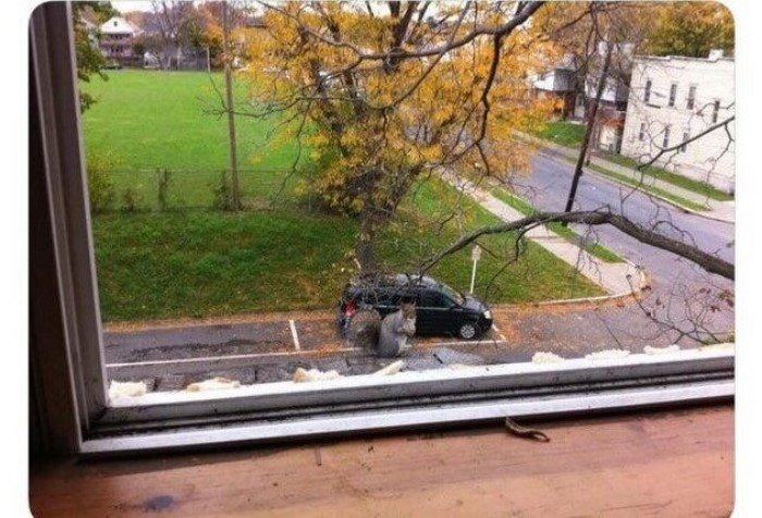 Right Moment (18 pics)
