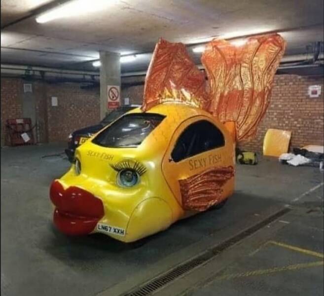 Daily Pictures. Part 1 (65 pics)