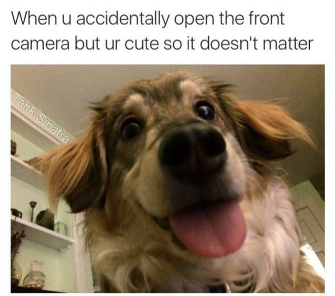 Daily Pictures. Part 2 (64 pics)