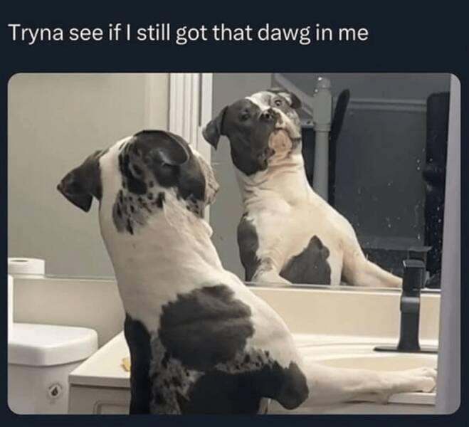 Daily Pictures. Part 2 (64 pics)