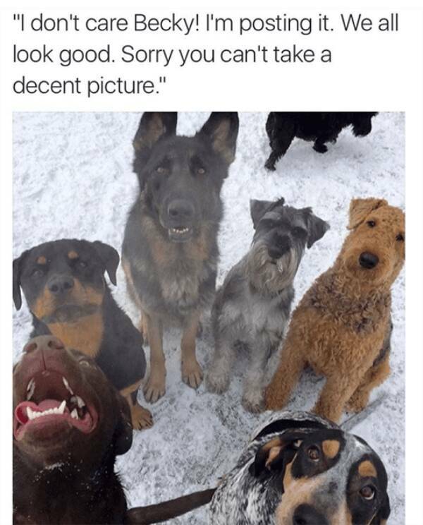 Daily Pictures. Part 2 (64 pics)