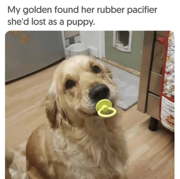 Daily Pictures. Part 2 (64 pics)