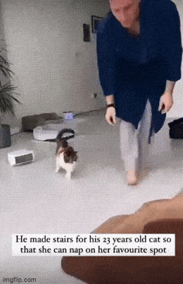 Acid GIFs, March 3 (25 gifs) Acid GIFs, March 3 (25 gifs)